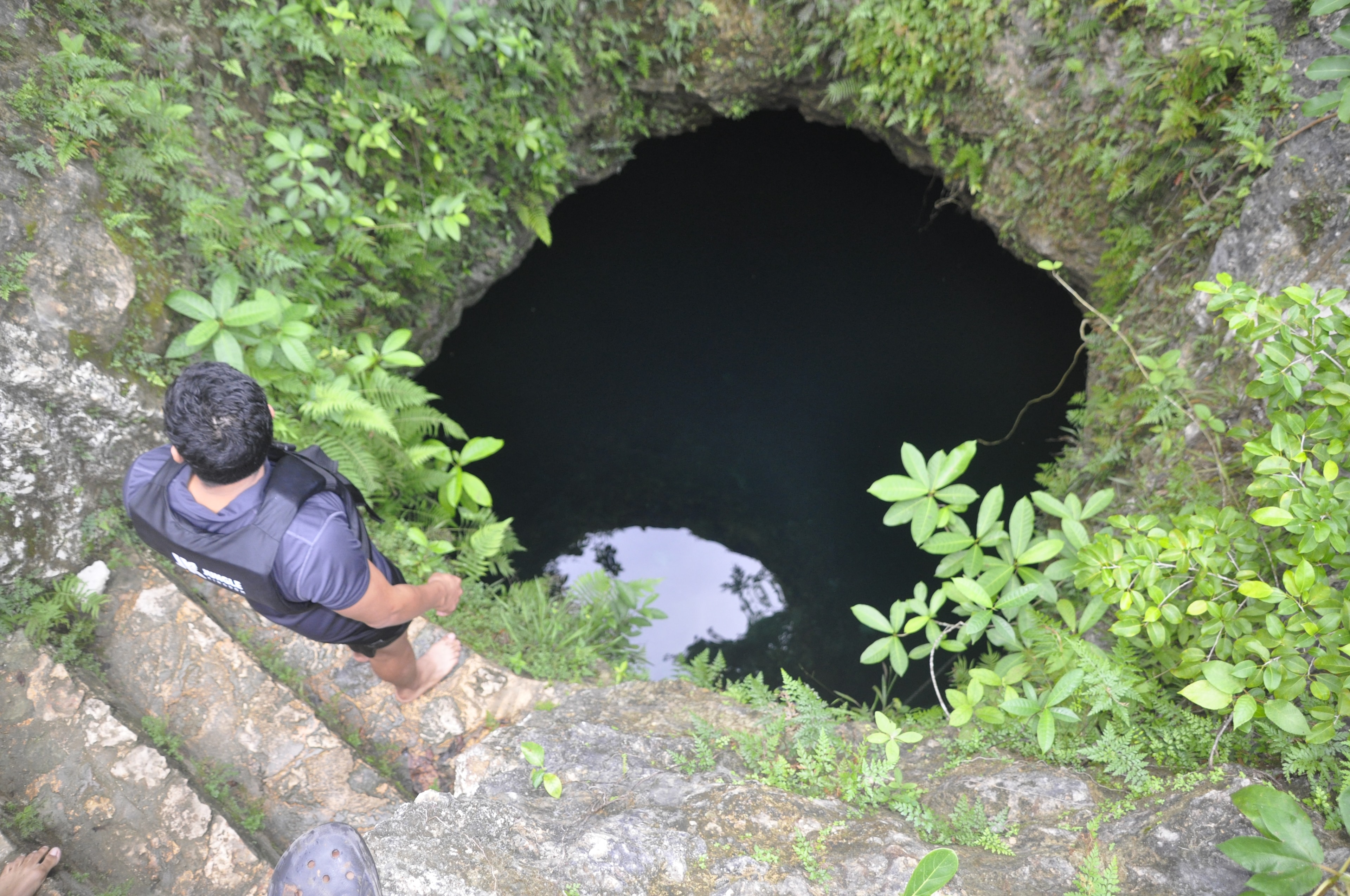 Aerial view of a cenote entrance surrounded by lush jungle vegetation