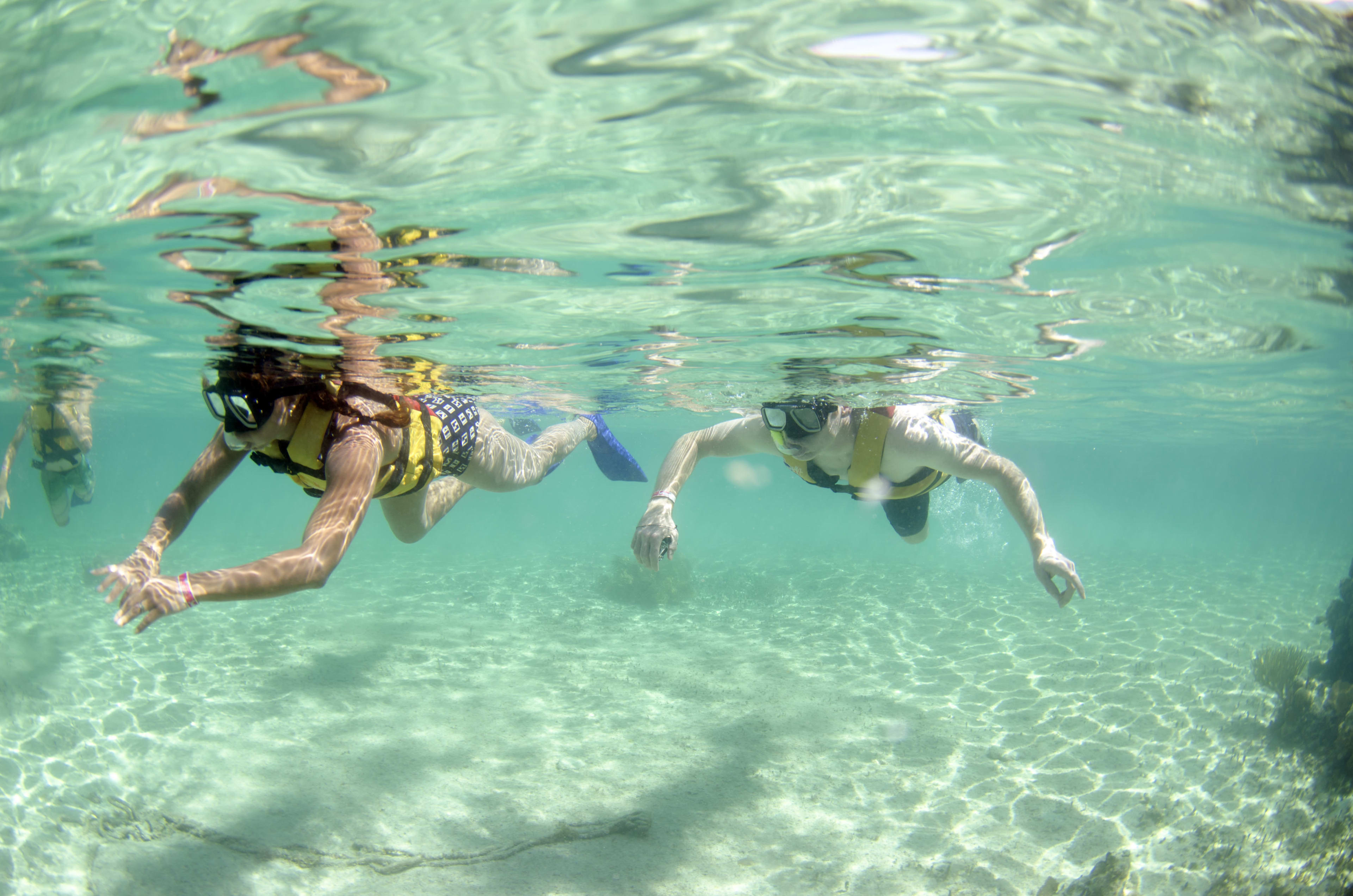 Cancun Snorkeling Tour: Turtles, Reef, Shipwreck & Marine Cenote (5 Spots)
