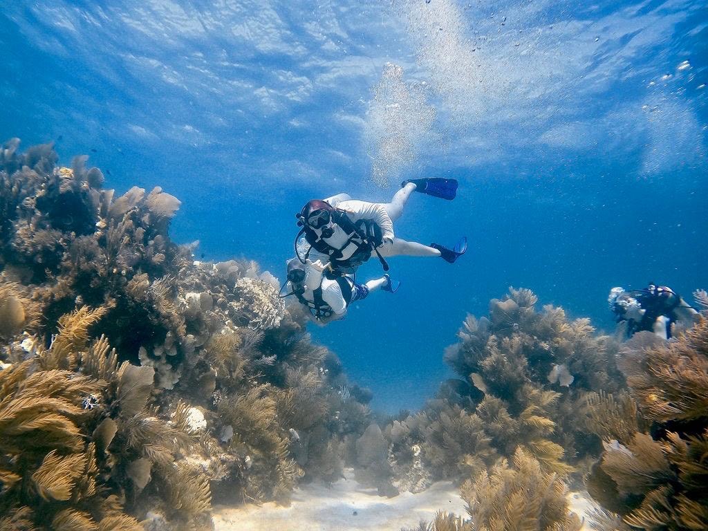 Scuba diver gliding through a corridor of sea fans and soft coral on the Cozumel reef